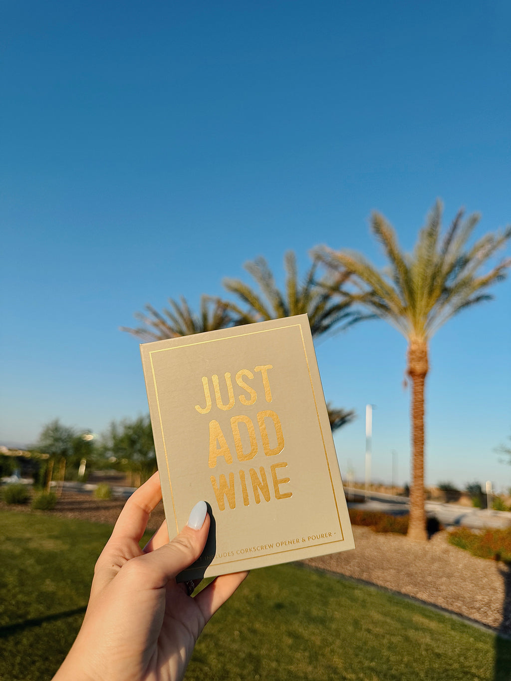 Wine Serving Set Book Box - Just Add Wine