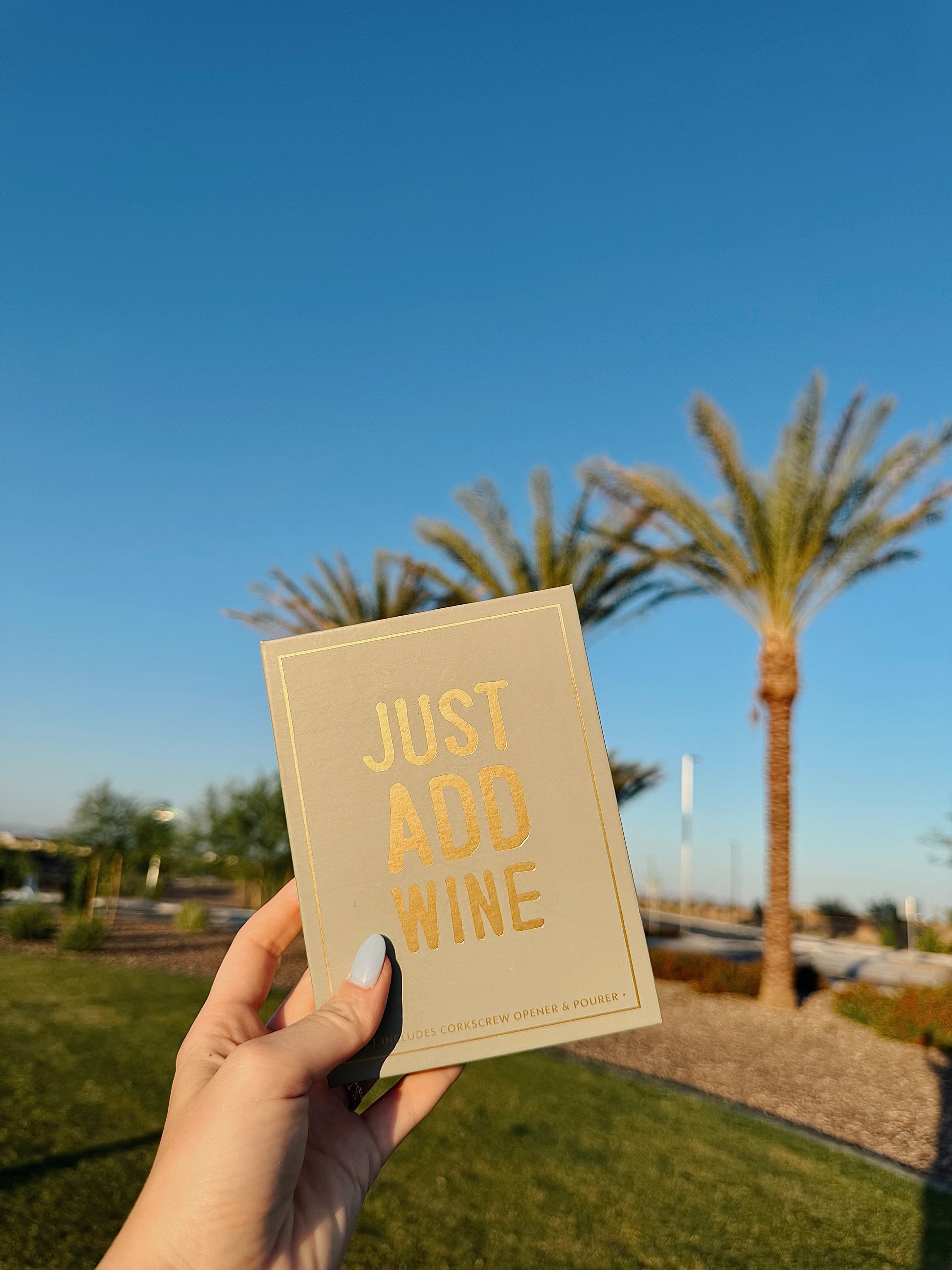 Wine Serving Set Book Box - Just Add Wine