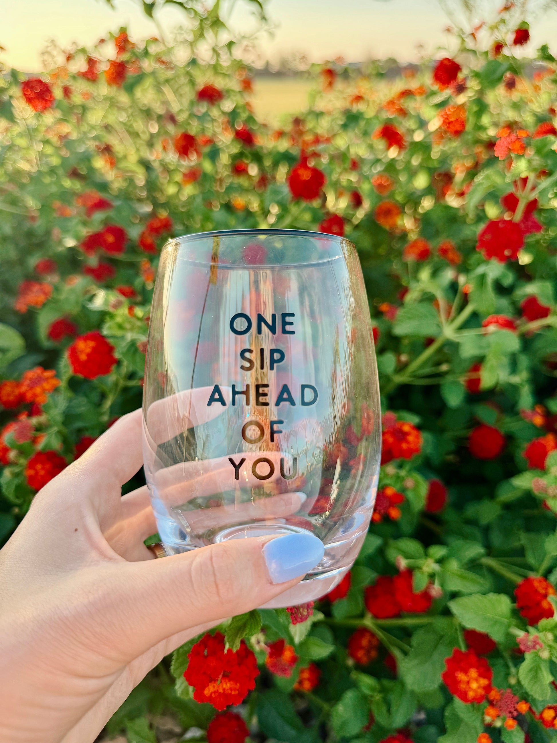 Wine Glass - One Sip Ahead of You